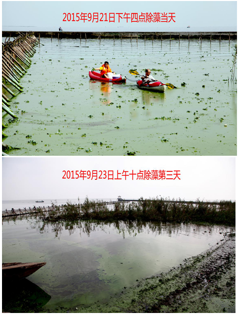 QQ截图20180503165102.png